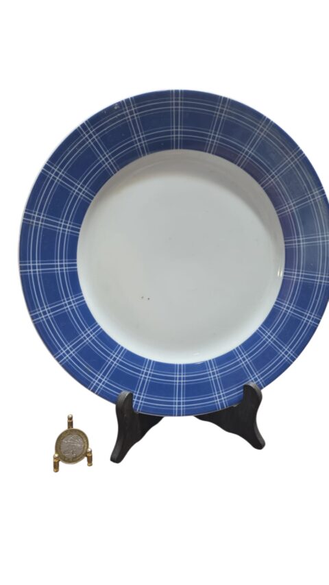 Grande prato raso de porcelana