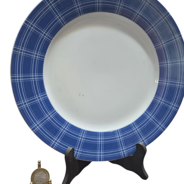 Grande prato raso de porcelana