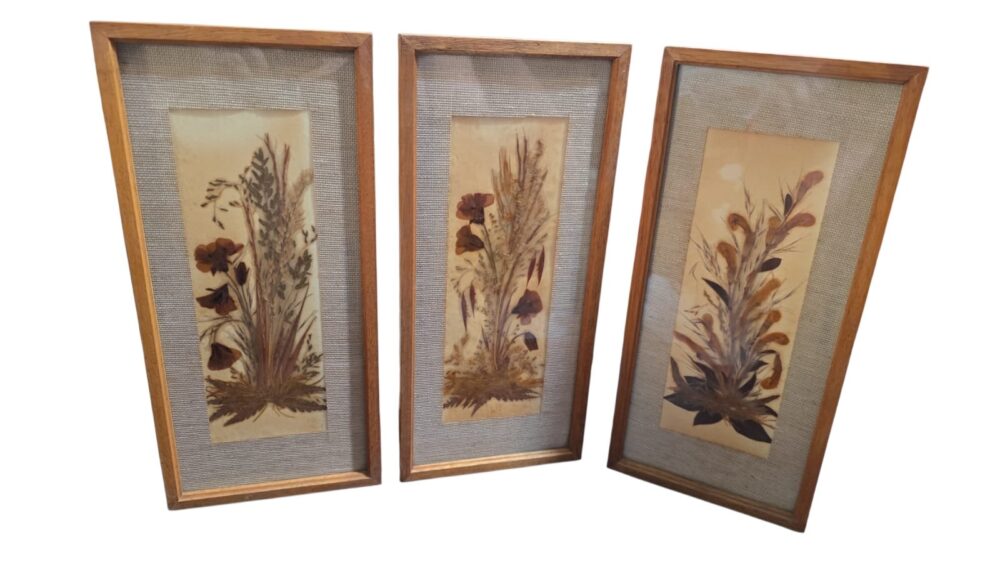 Trio de quadros com arte botânica, feitos a mão, sul africanos