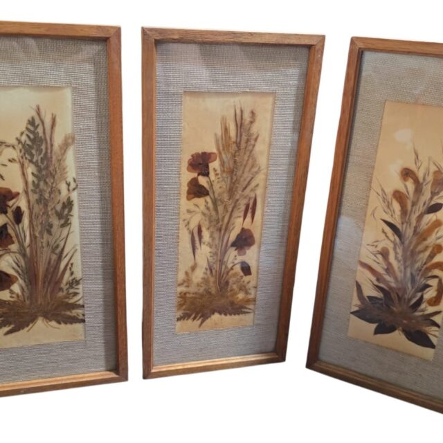 Trio de quadros com arte botânica, feitos a mão, sul africanos