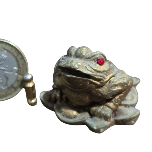 Sapo da fortuna em resina