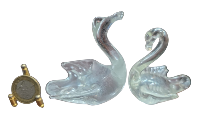 Casal de cisnes em Murano