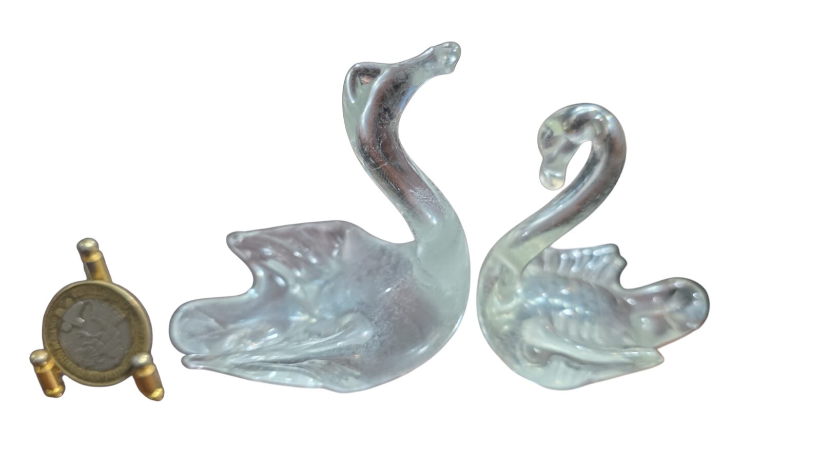 Casal de cisnes em Murano