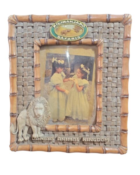 Antigo, grande e belo porta retrato Disney Safari