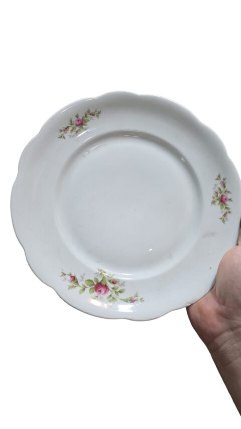 Porcelana Renner