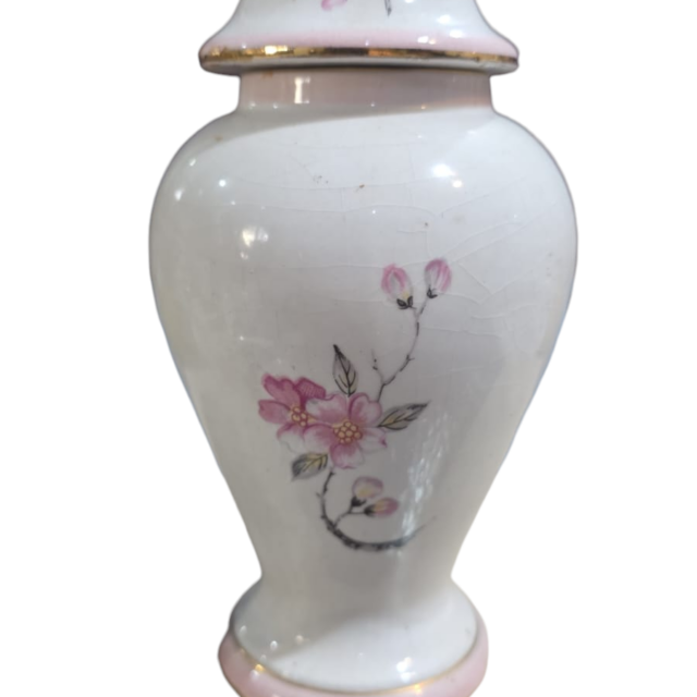 Elegante vaso de porcelana com tampa