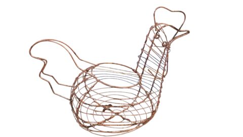 Galinha porta ovos
