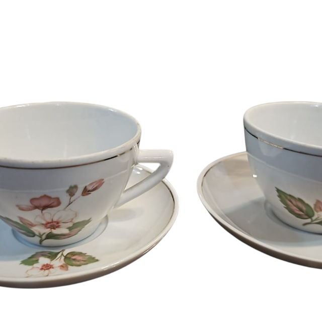Xícaras de chá porcelana Pozzani,
