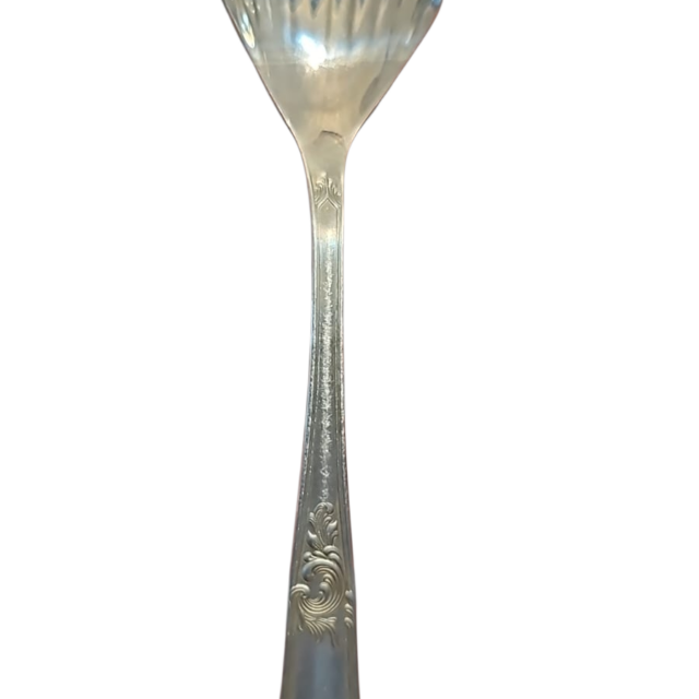 Hercules inox classic concha