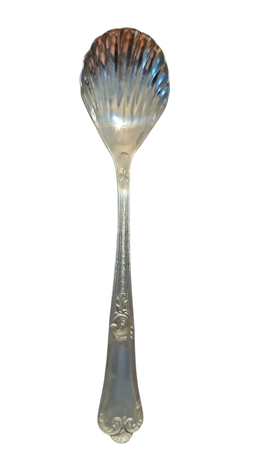 Hercules inox classic concha