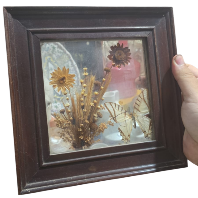 Quadro antigo feito com elementos orgânicos, madeira em madeira de lei