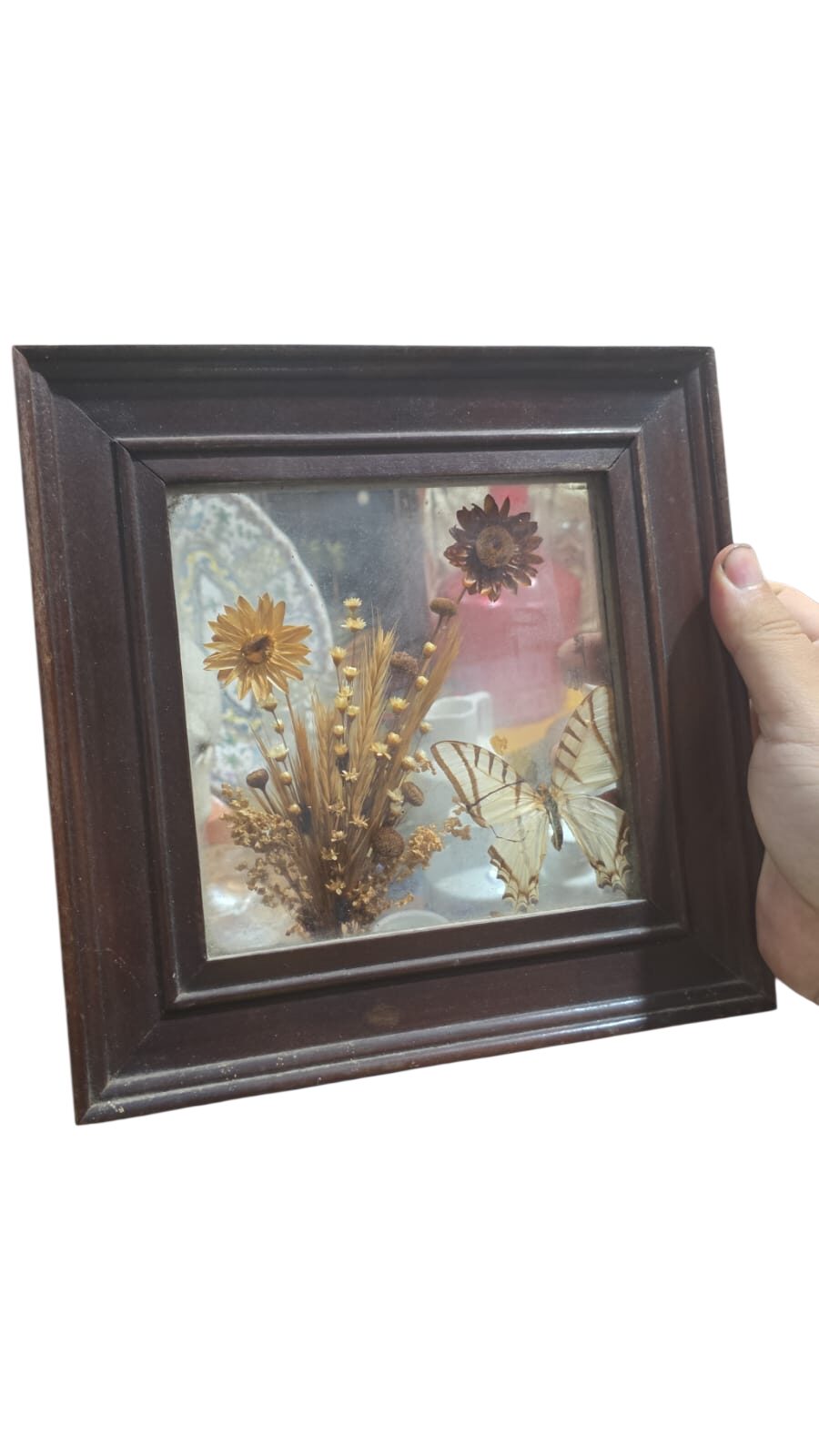 Quadro antigo feito com elementos orgânicos, madeira em madeira de lei