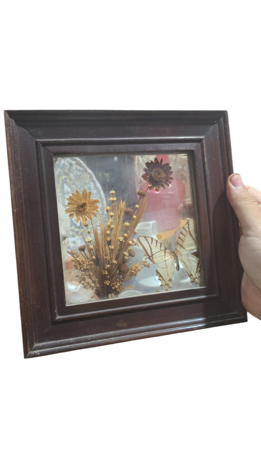 Quadro antigo feito com elementos orgânicos, madeira em madeira de lei