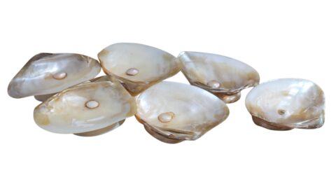 Conjunto de petisqueiras em madrepérola