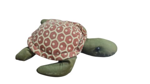 Tartaruga decorativa tailandesa