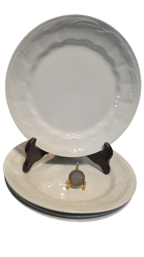 Antigos e elegante pratos de louça