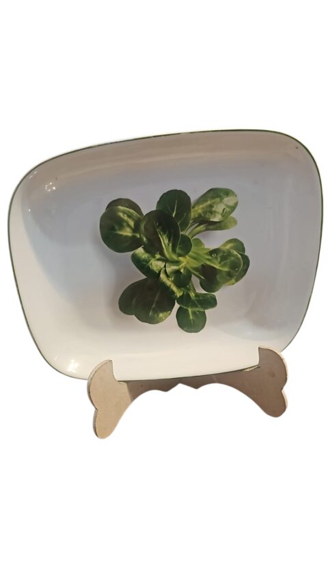Travessa de porcelana para salada