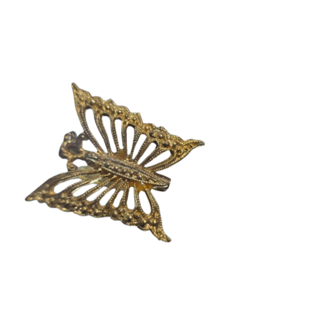 Broche borboleta