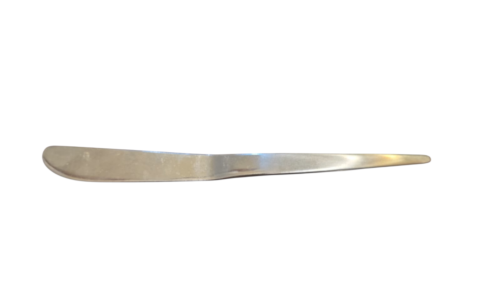 Espátula rara inox