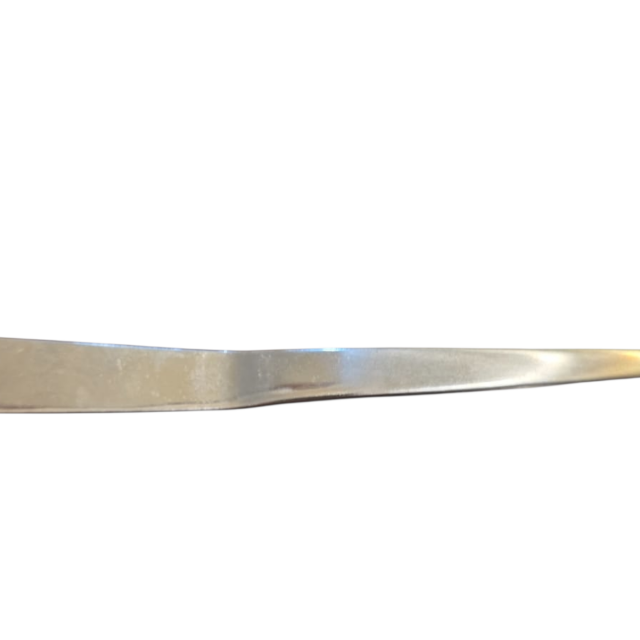 Espátula rara inox
