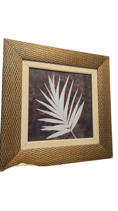 Quadro com botânica