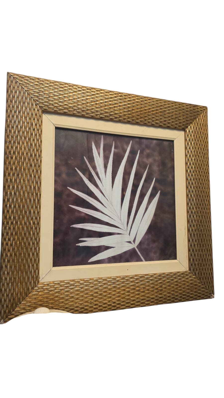 Quadro com botânica