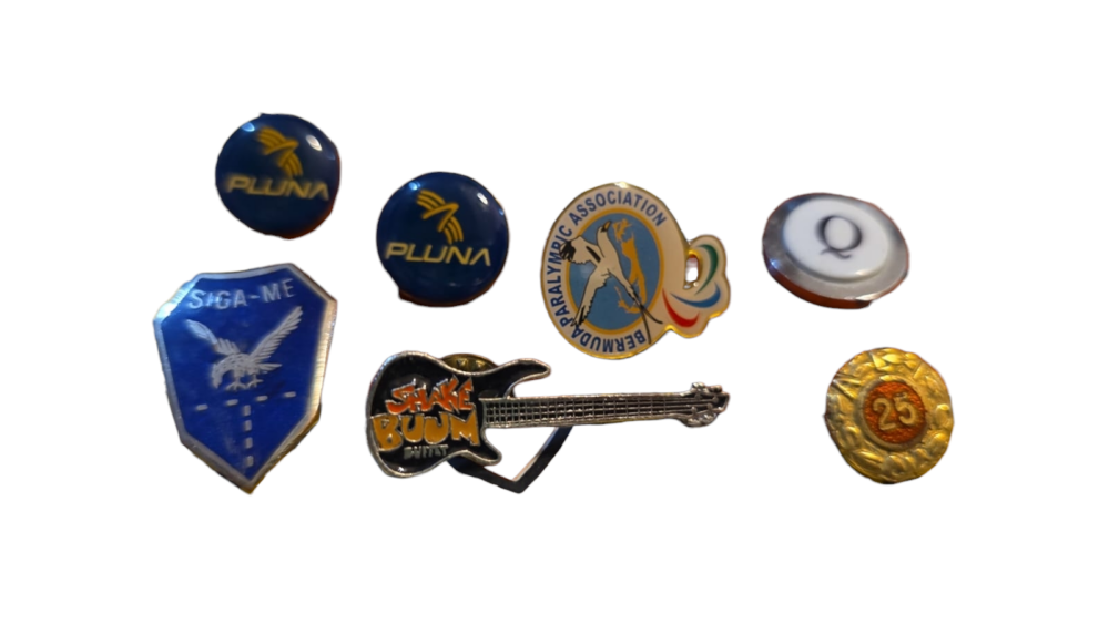 Lote de broches diversos