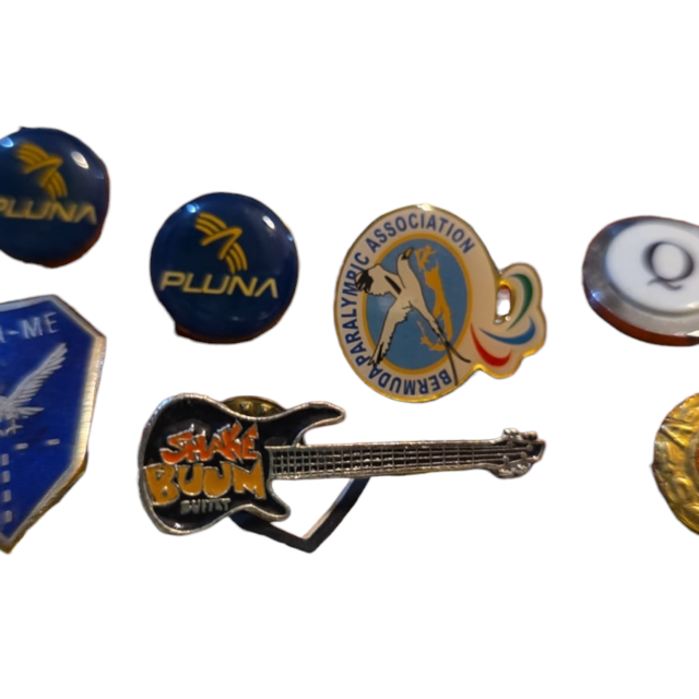 Lote de broches diversos