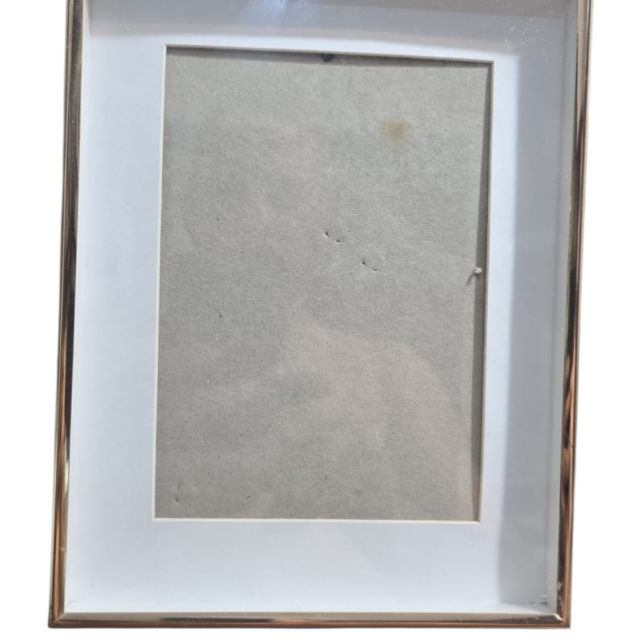 Elegante porta retrato americano