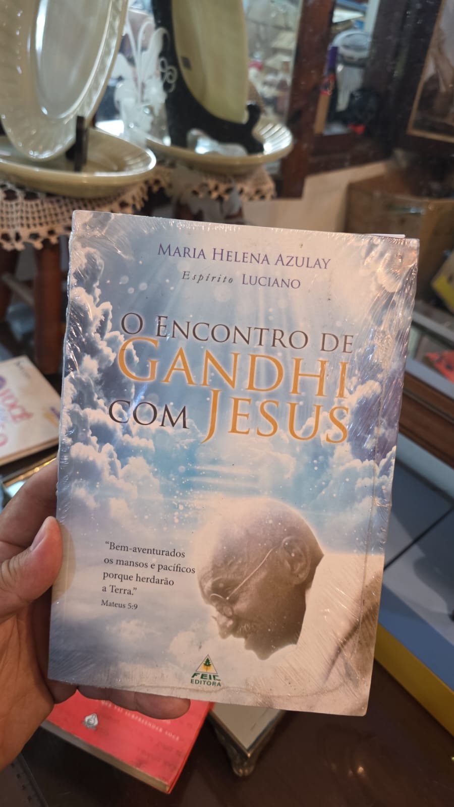 Livro - Imagem 2
