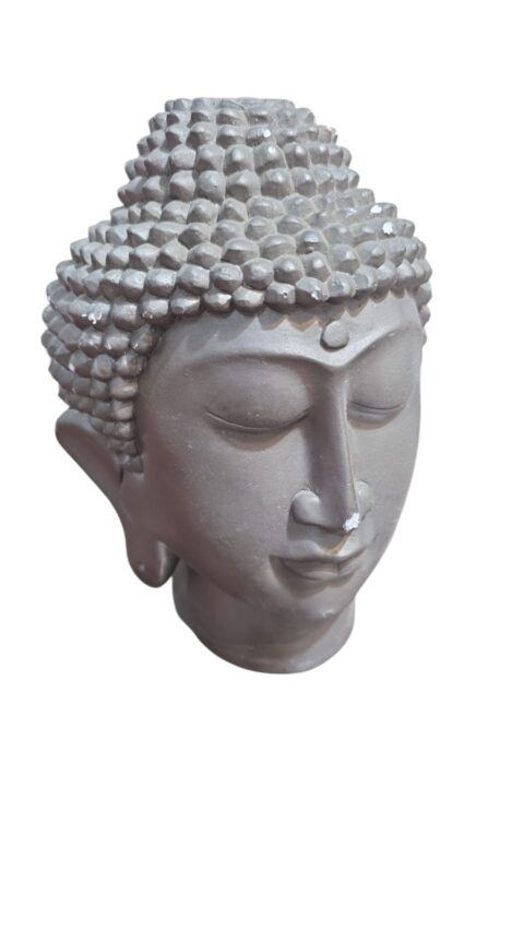 Grande cabeça de Buda de gesso