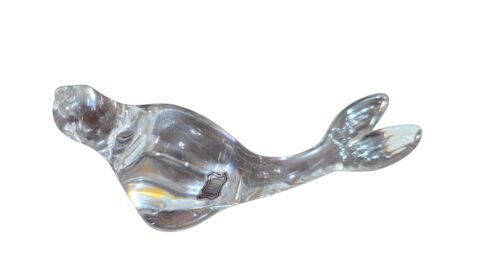 Foca de cristal Hering, ainda selada