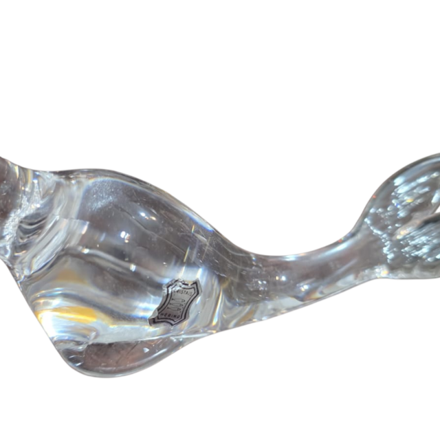 Foca de cristal Hering, ainda selada