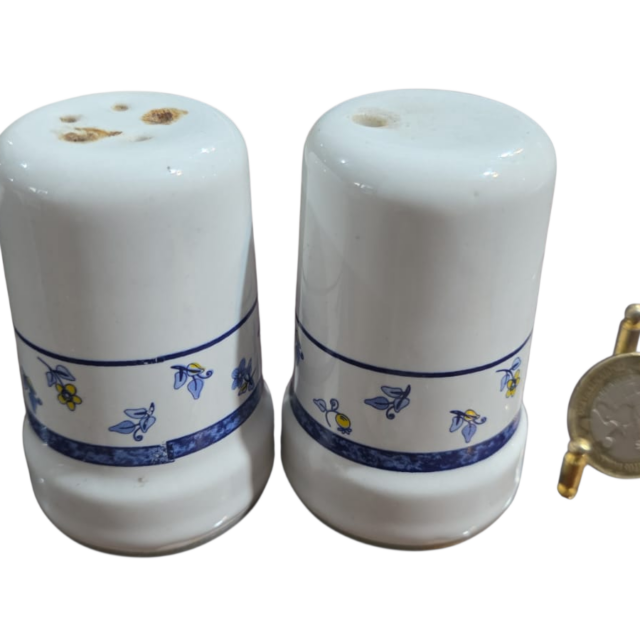 Par de antigos saleiro e paliteiro de porcelana