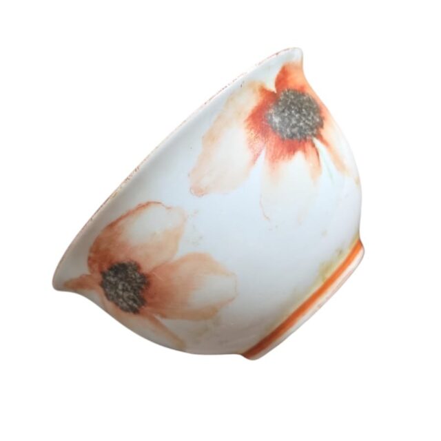 Bowl de porcelana pintado a mão, bela arte