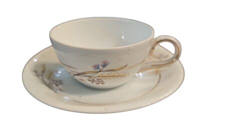 Antiga xícara porcelana Schmidt