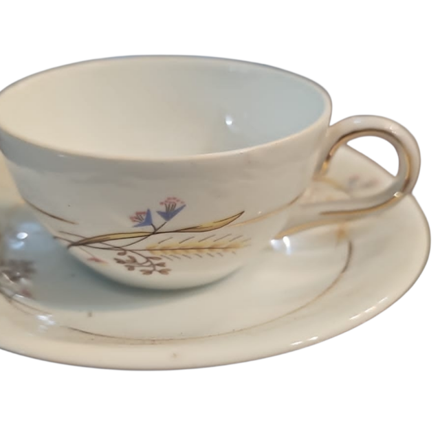 Antiga xícara porcelana Schmidt