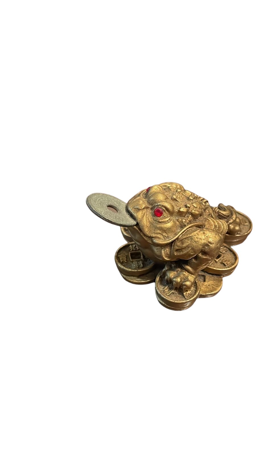 Sapo da fortuna oriental, com moeda na boca
