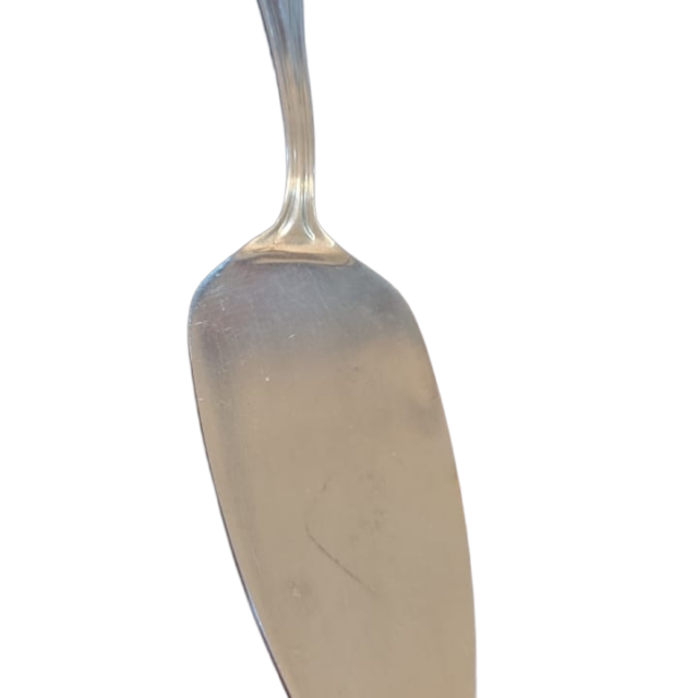 Espátula inox