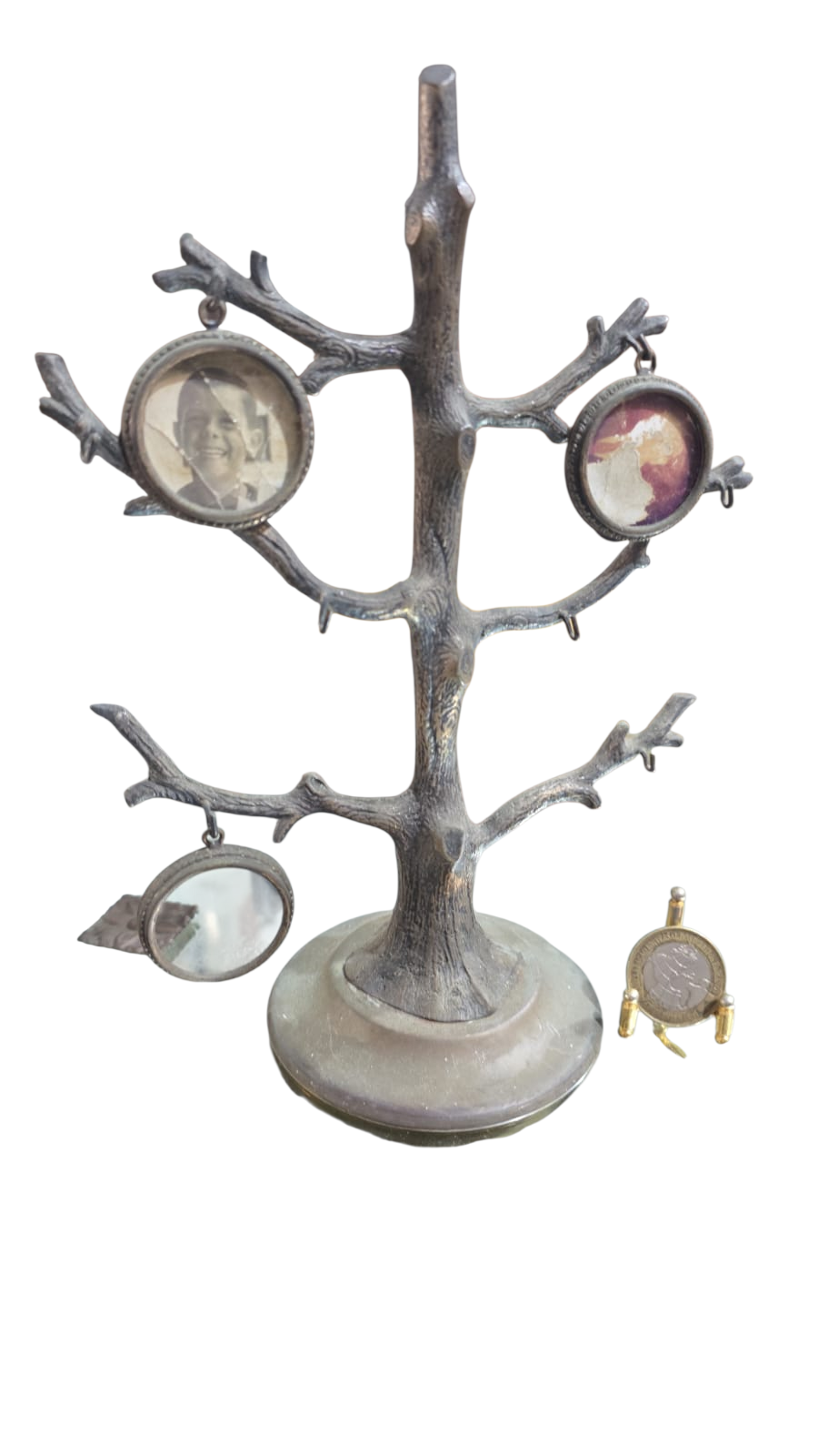 Antiga decoração de bronze árvore genealógica
