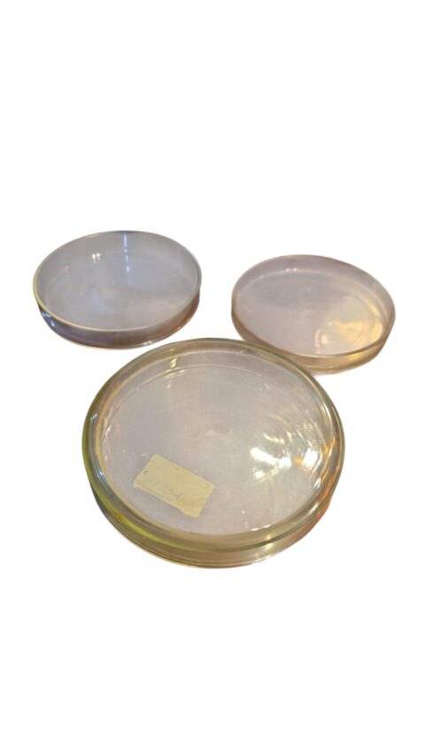 Antigo conjunto de placas de petri