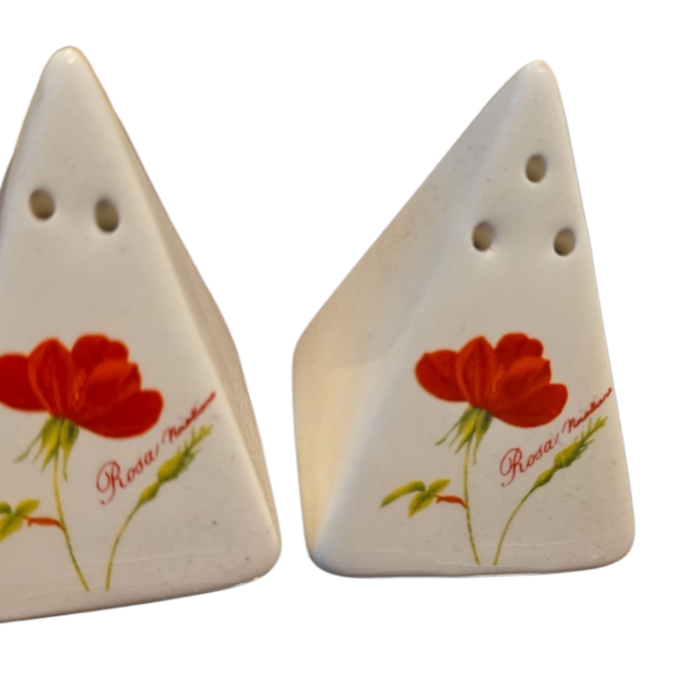 Par saleiro e pimenteiro de porcelana