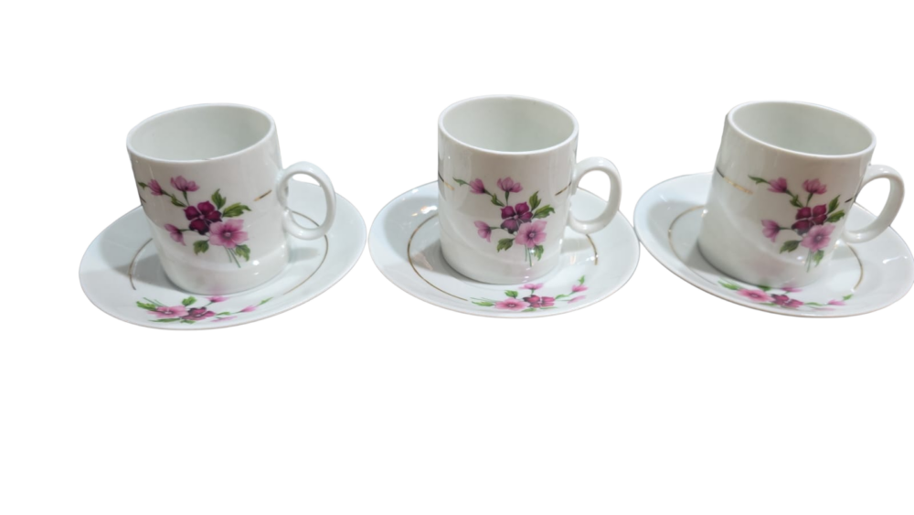 Xícaras de porcelana Renner