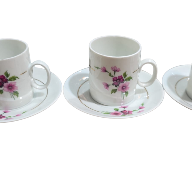 Xícaras de porcelana Renner