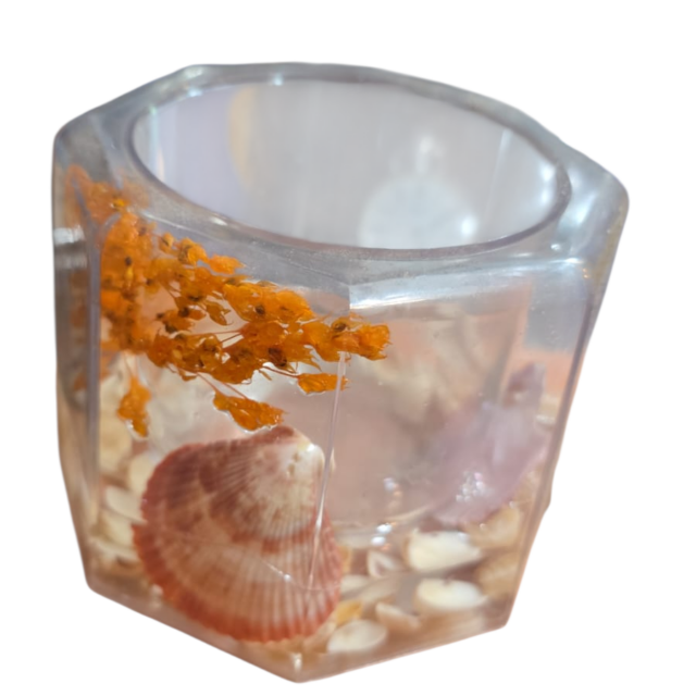 Vaso de acrílico com conchas