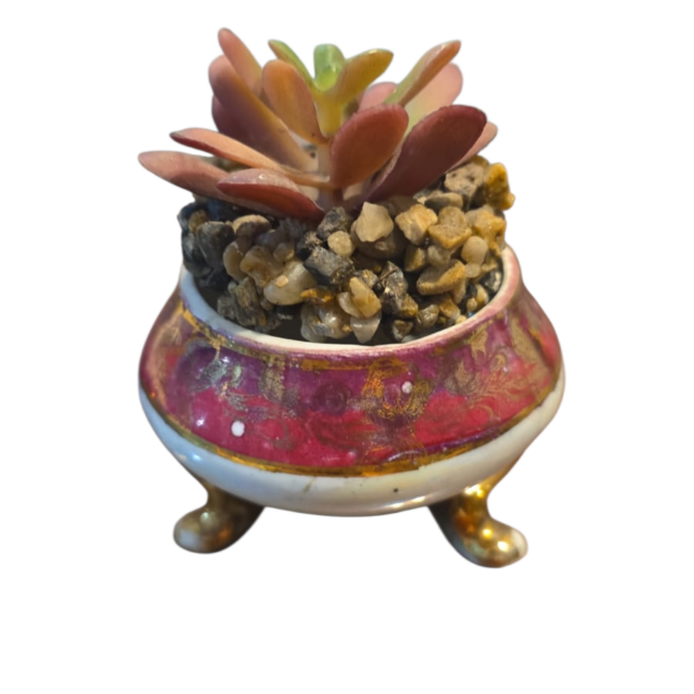 Vaso de porcelana nacarada
