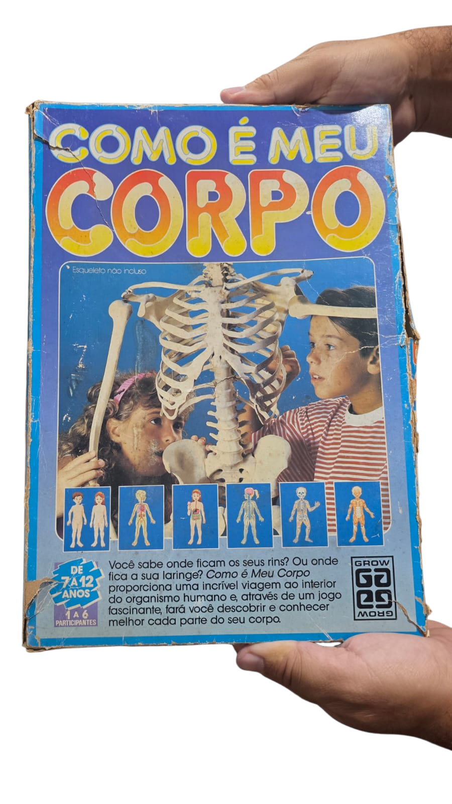 Antigo jogo da Grow "Como é meu corpo"