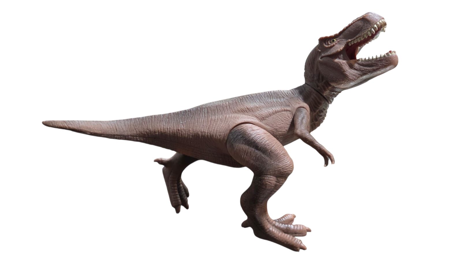 Grande figura de Tiranossauro Rex