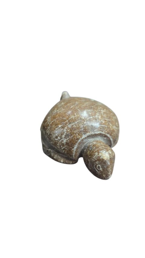 Tartaruga de pedra