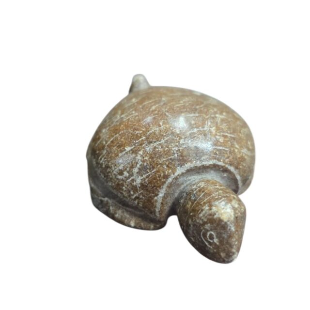 Tartaruga de pedra
